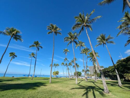 Waikiki Beach Volleyball