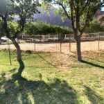 Springdale Town Park